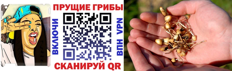 Псилоцибиновые грибы ЛСД  гидра ТОР  Белый 